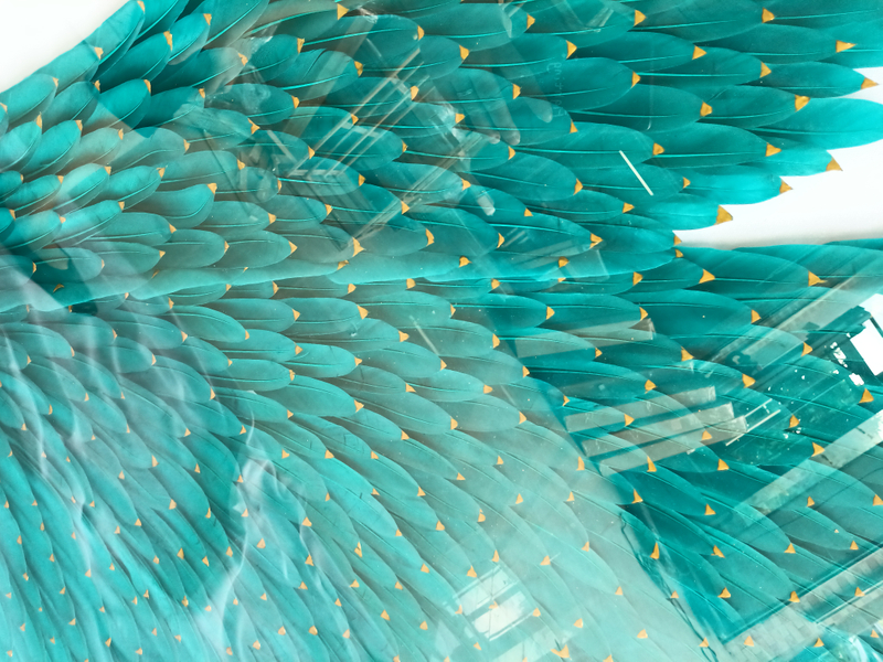 WXMA-48 Crystal Wall Art