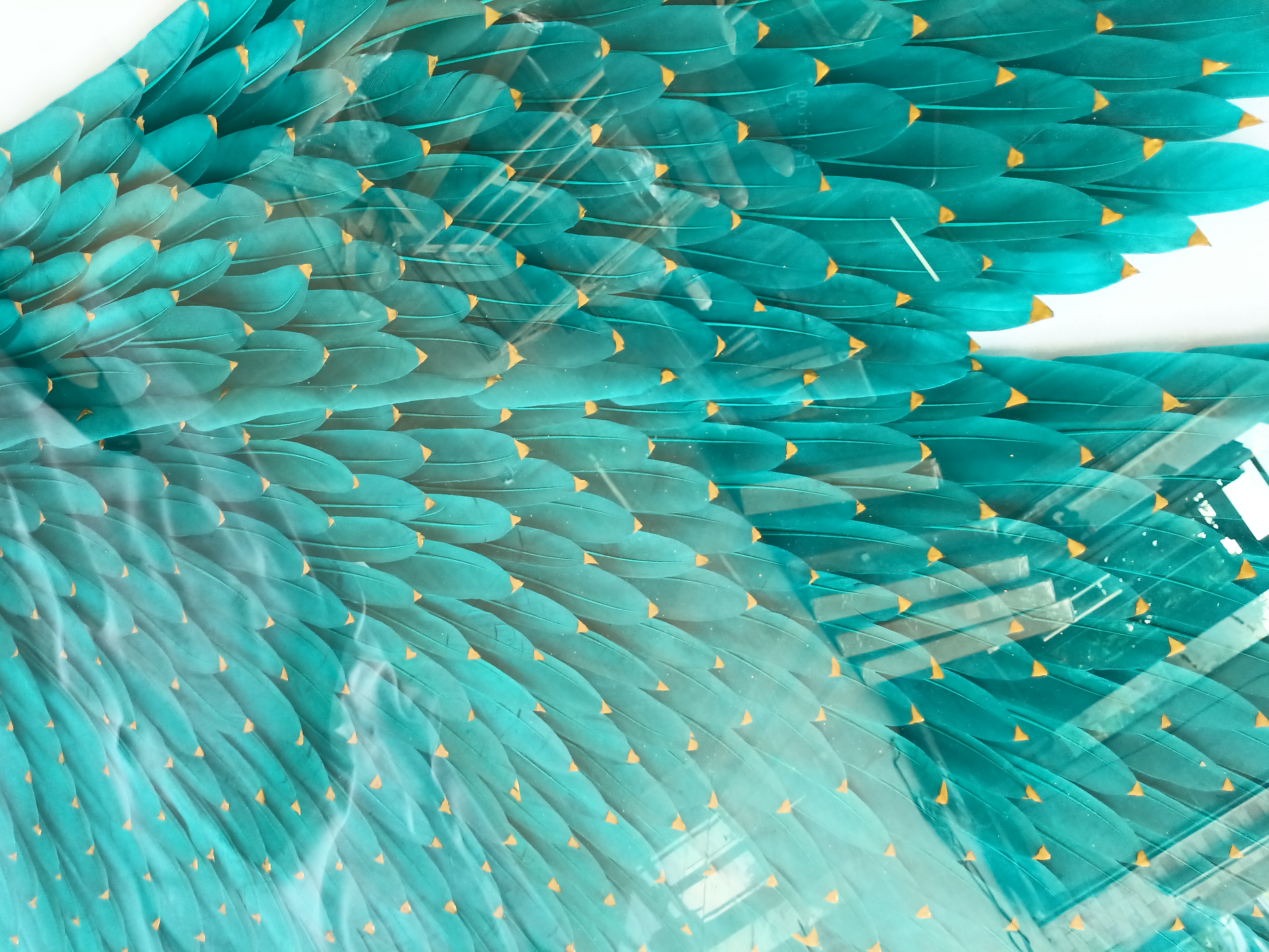 WXMA-48 Crystal Wall Art