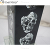 Vxin Supply Gothic Style WXTL-79 Silver Black Skull Table Mirror Lamp with Lampshade For Hotel