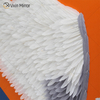 Feathers Woman Picture Decorative Painting Living Room Home Decoration
