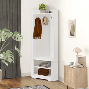 Modern Organizer with Hooks