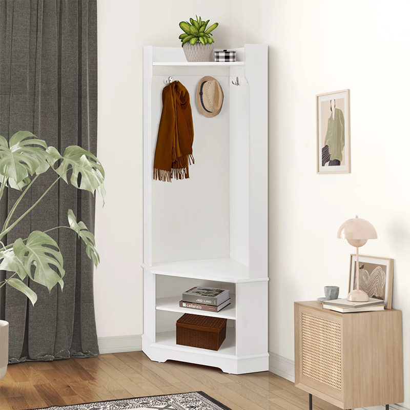 Modern Organizer with Hooks