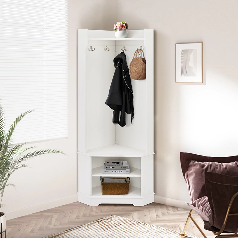Modern Organizer with Hooks