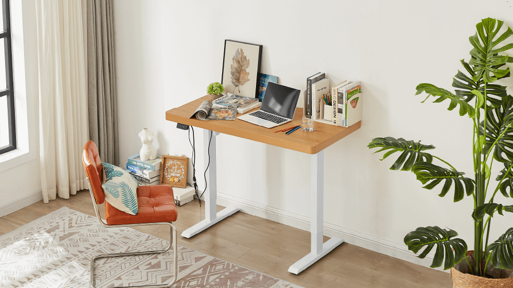 Computer Writing Desk