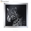 VXin WXMA-19 Home Decor Glass Frame Mirrored Cheetah Wall Art Crystal Porcelain Painting Mirror Wall Art