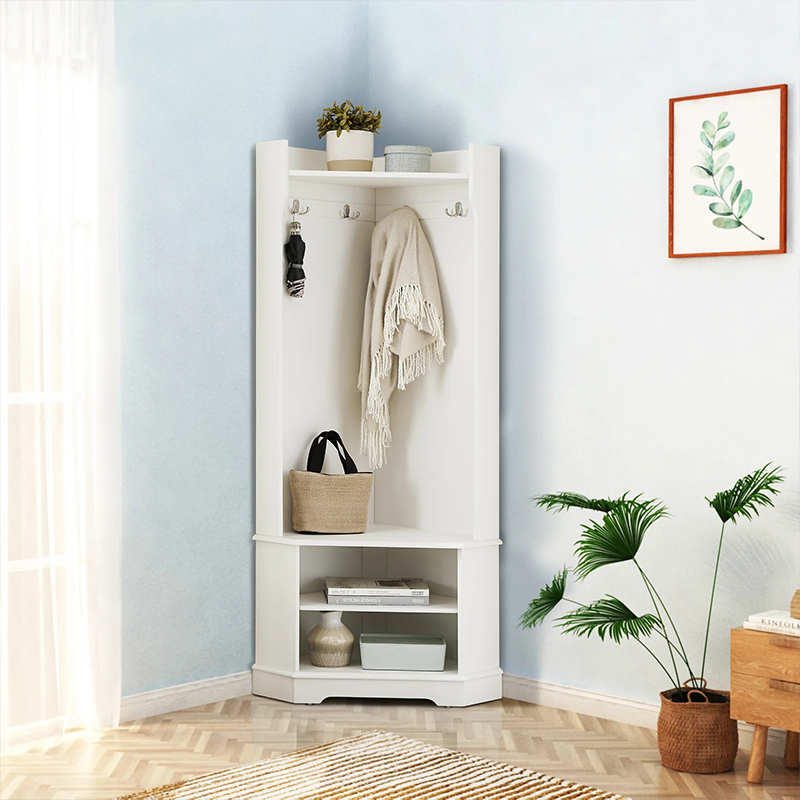 Modern Organizer with Hooks