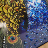 Luxury Crystal Porcelain Painting Peacock Covered Frame Decorative Mirror Wall Art