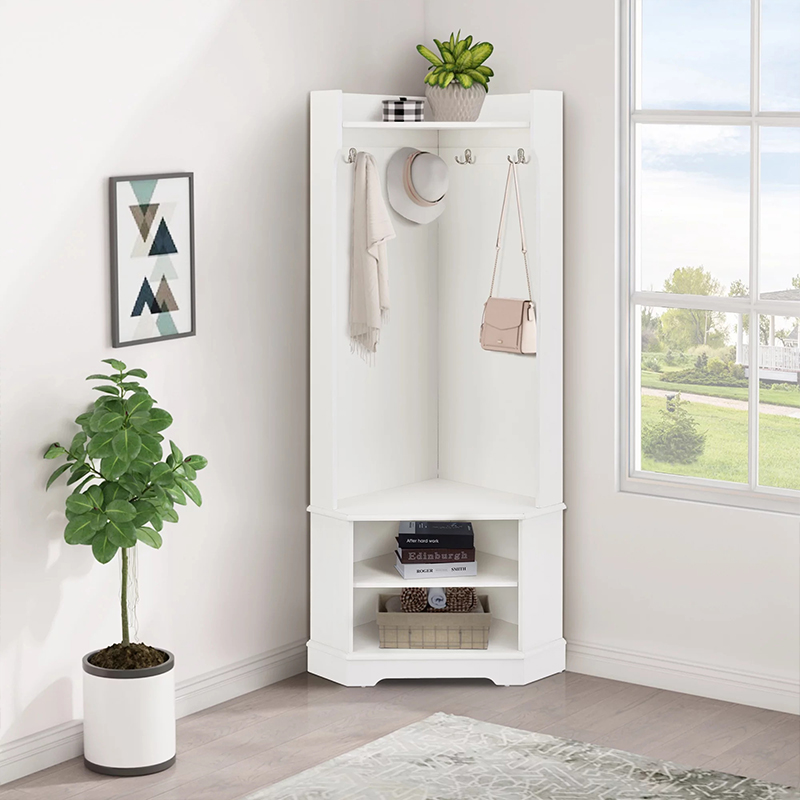 Modern Organizer with Hooks