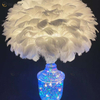 Factory Supply Gorgeous Feather Glass Table Lamp with LED for Bedroom